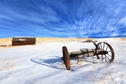 Put out to Pasture